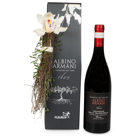 Charmanter Flaschengeist mit Amarone Albino Armani DOCG (75 cl)