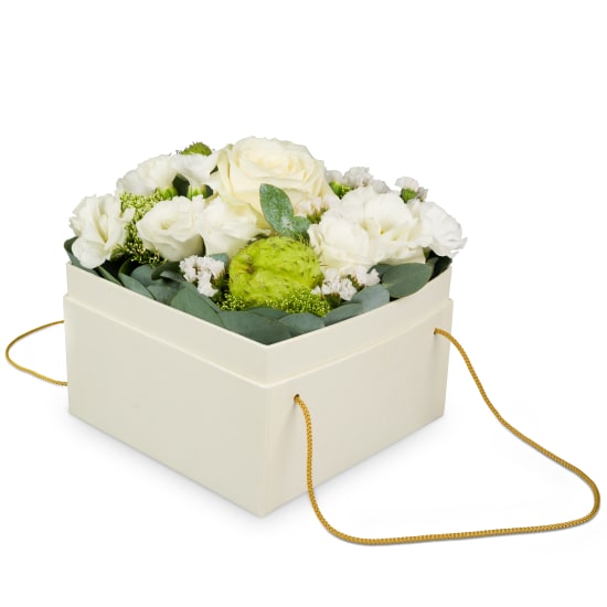 Flowerbox «Dublin» (15 cm)