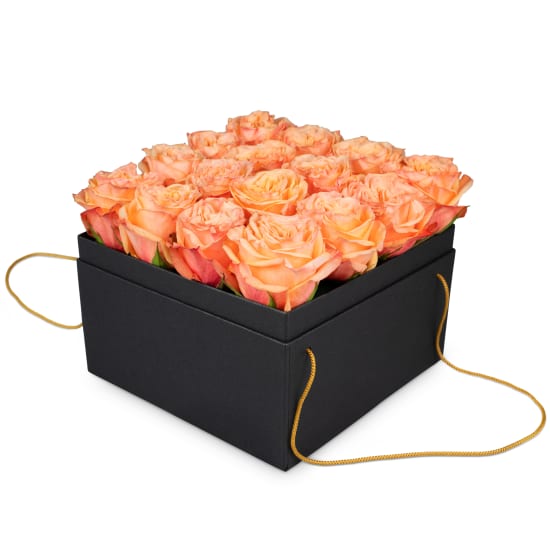 Flowerbox «Marseille» (20 cm)