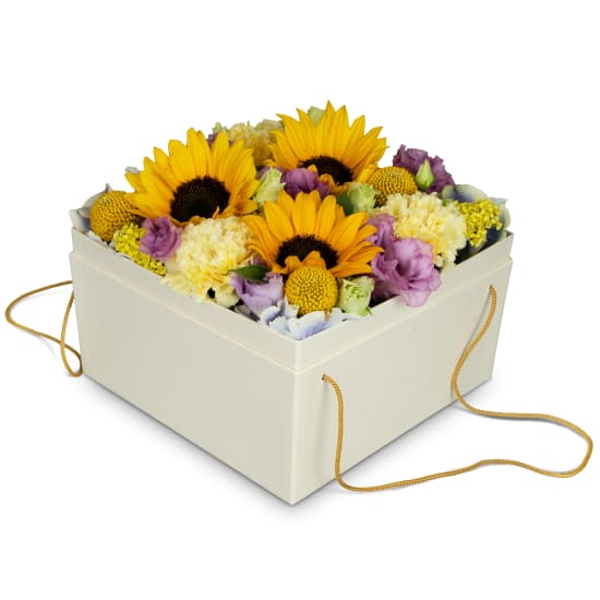 Flowerbox «Arles» (20 cm)