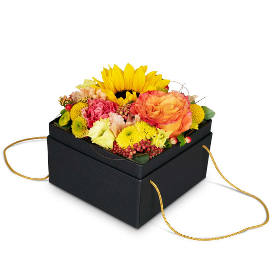 Boîte à fleurs «Cuzco» (15 cm)