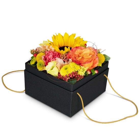 Blumenbox «Cuzco» (15 cm)