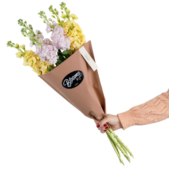 Blooms for you «Anna»