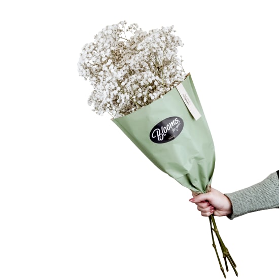 Blooms for you «Diana»