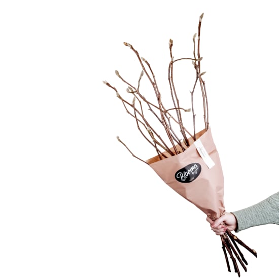 Blooms for you «Victoria»