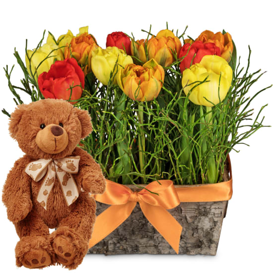 Flower arrangement «Happy Tulip Meadow» with teddy bear