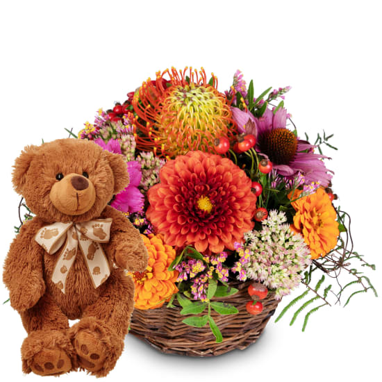 Touch of Indian Summer with teddy bear