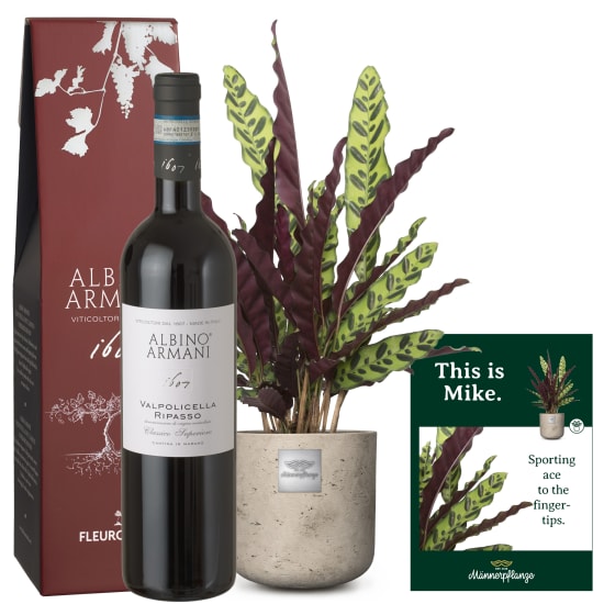 Questo è Mike (Calathea) con Ripasso Albino Armani DOC (75 cl)