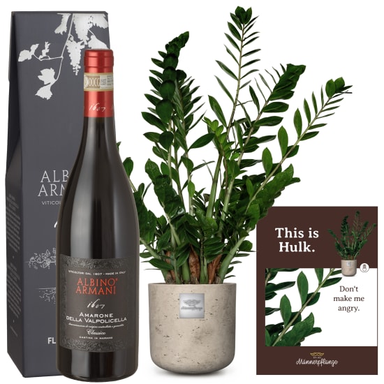 Voici Hulk (Zamioculcas zamiifolia) avec Amarone Albino Armani  DOCG (75 cl)