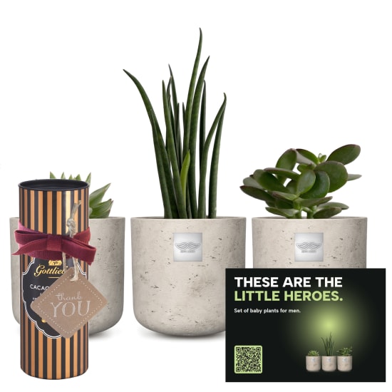 Set of baby plants for men «Little Heroes» with Gottlieber cocoa almonds and hanging gift tag «Thank You»