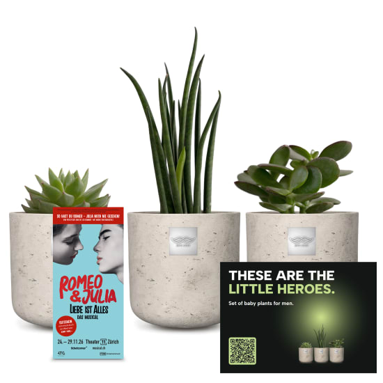 Baby-Männerpflanzen-Set «Little Heroes» mit Gutschein CHF 100.- für das Musical «Romeo & Julia»
