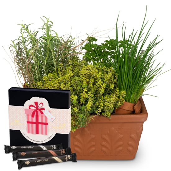 Herb Box with Gottlieber Hüppen «For You»