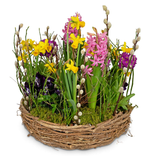 Planted Basket Colorful spring wreath