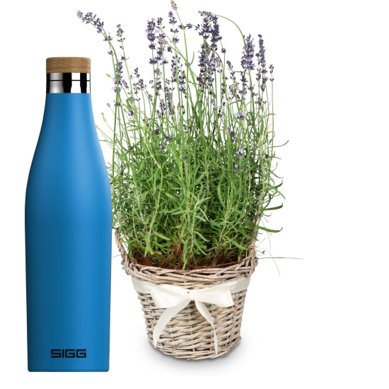 Scent of Provence (lavender) with SIGG water bottle Meridian Electric Blue  0.5L