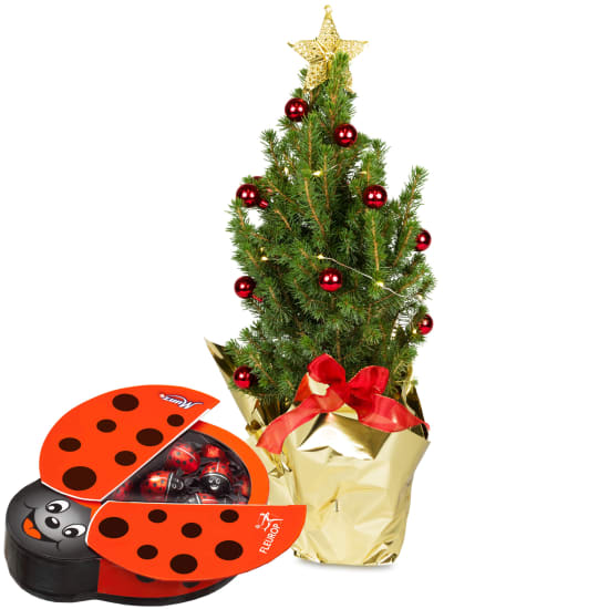 Geschmückter Weihnachtsbaum (ca. 55cm) mit Munz Schoggi-Glückskäfer