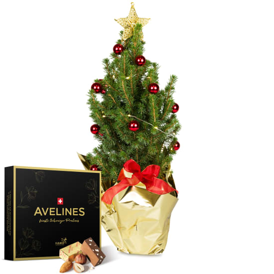 Geschmückter Weihnachtsbaum (ca. 55cm) mit Avelines Pralinés von Maestrani
