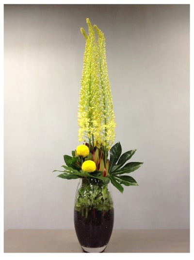 Arrangement of Cut Flowers