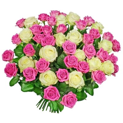 I\'m sorry bouquet