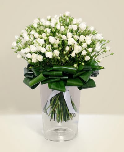 Purity