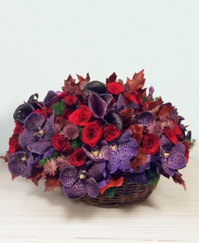 Violet dream
