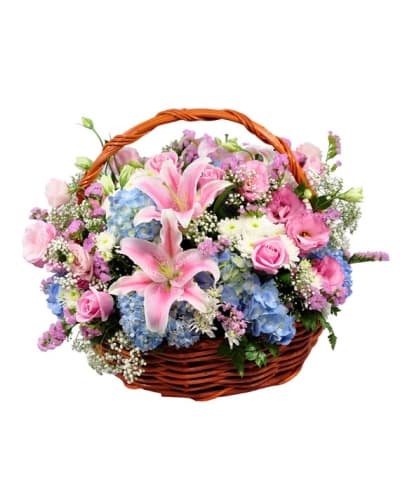 Pastel Surprise