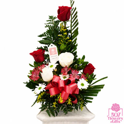 Rosas1