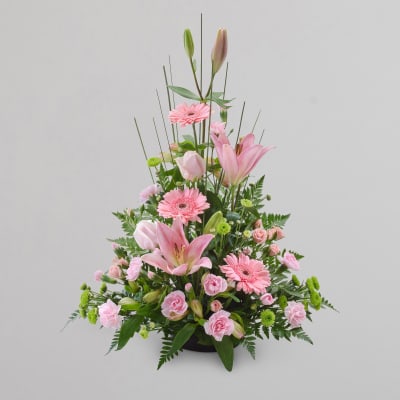 Pink Sympathy