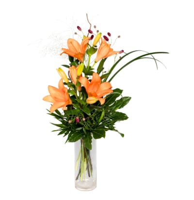 Father\'s Day Surprise