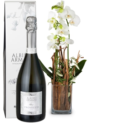 Zimmerpflanze «Zauberei» (Orchidee in Vase) mit Prosecco Albino Armani DOC (75 cl)