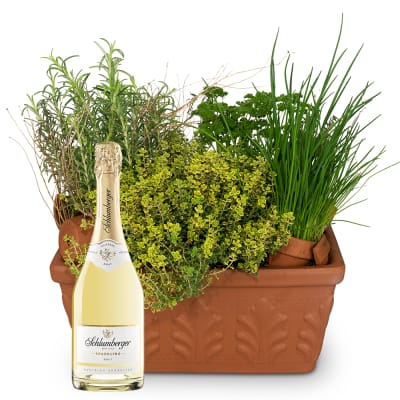 Kräuterkistchen (gepflanzt) mit Schlumberger Sparkling Brut 0,75 L