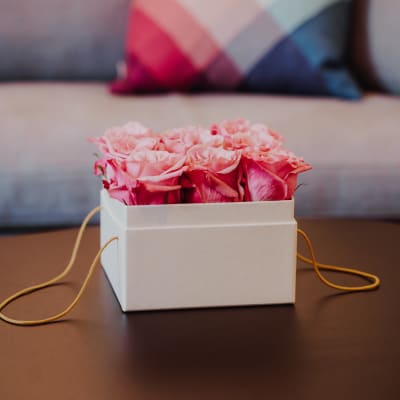 Flowerbox «Lucerne»  (15 cm)