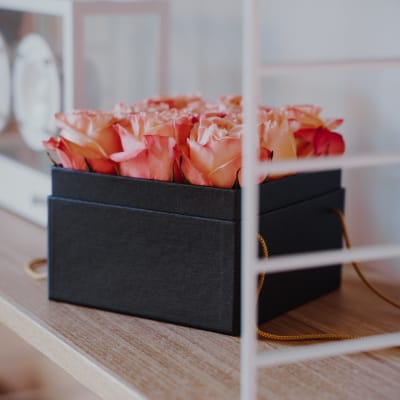 Flowerbox «Marseille» (15 cm)