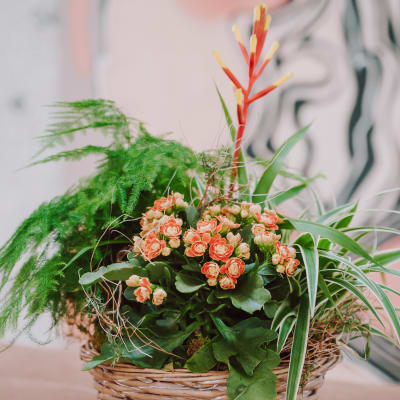 Indoor plant pot «Symphony of plants»