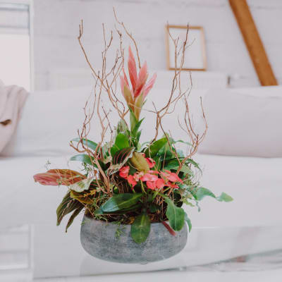 Indoor plant pot «Harmony of colors»