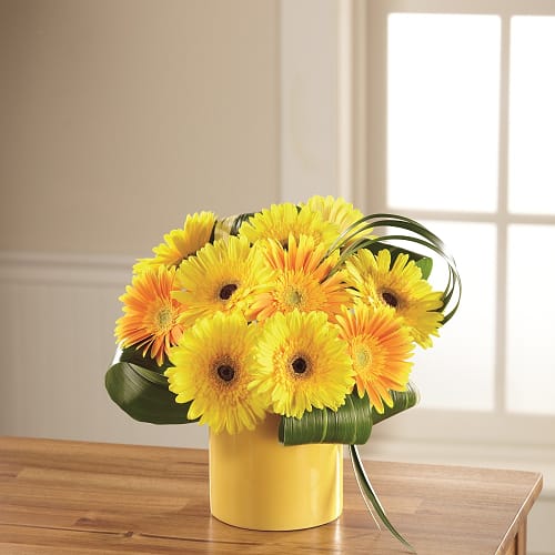 Sunny Surprise Arrangement