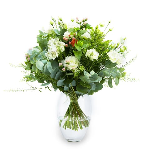 The Elegance Of White Flowers