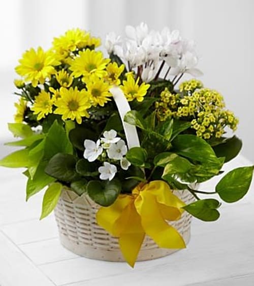 A Bit of Sunshine Basket by FTD