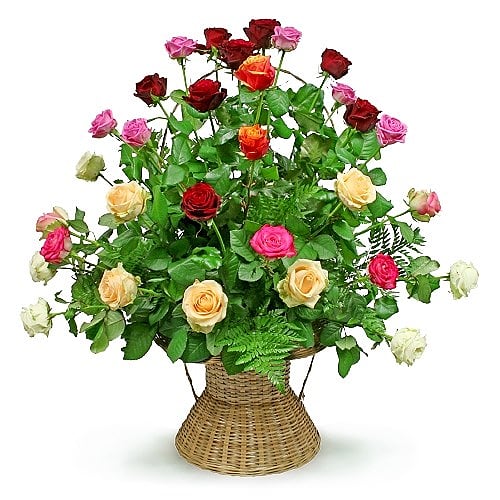 Colourful basket composition