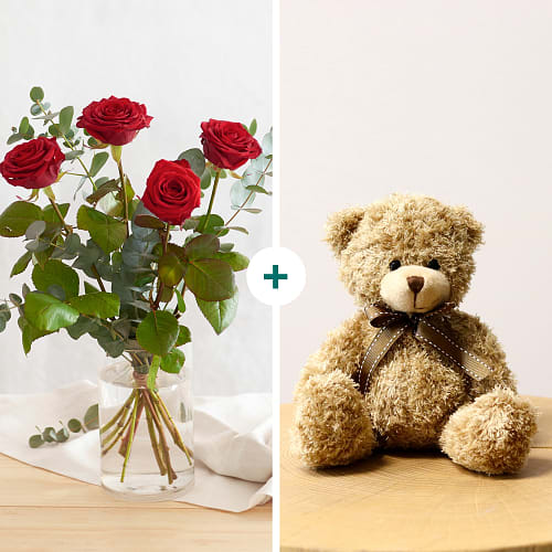 Tenderness and teddy bear