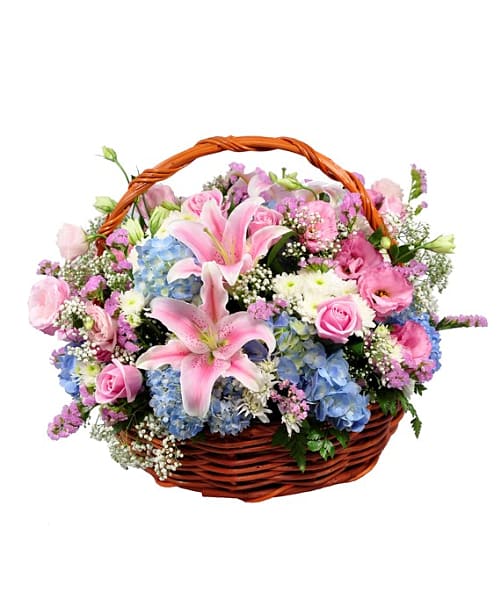 Pastel Surprise