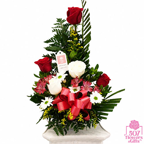Rosas1