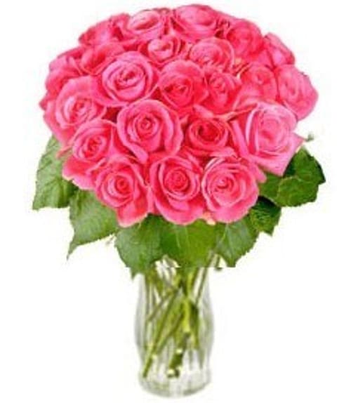 Rosy Reveries