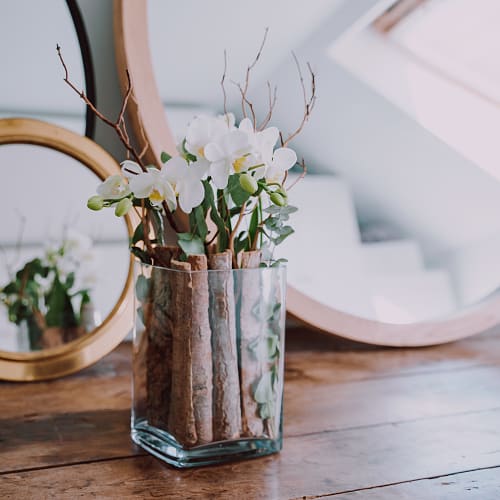 Zimmerpflanze «Lifestyle» (Orchidee in Vase)