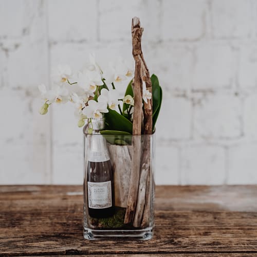 Zimmerpflanze «Natürlich und edel» (Orchidee in Vase) mit Prosecco Albino Armani DOC (20 cl)