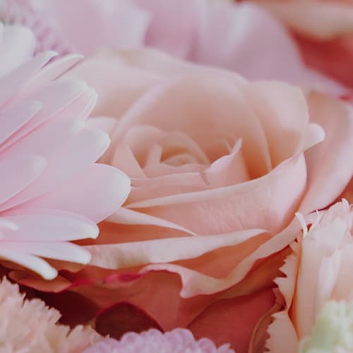 Flower bouquet «Pastels»