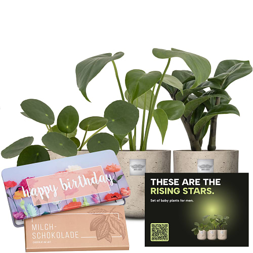 Set de plantes baby pour hommes «Rising stars» avec Munz tablette de chocolat «Happy Birthday»