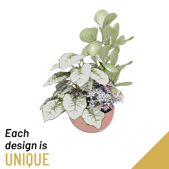 Planted Bowl-Arrangement