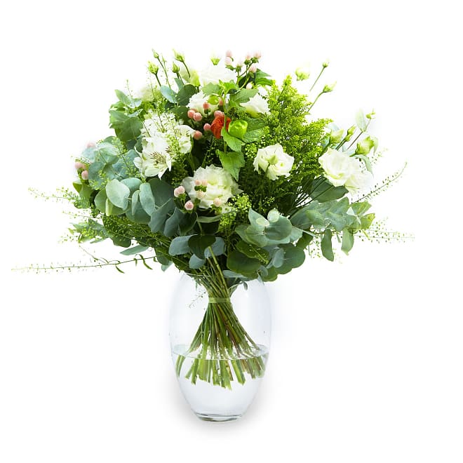 The Elegance Of White Flowers