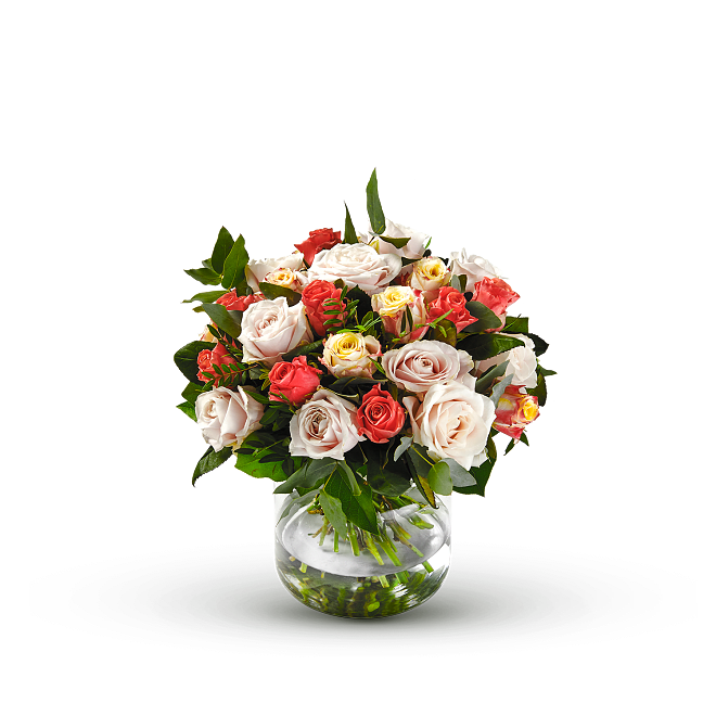 Rosa