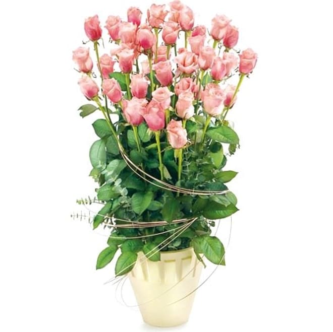 Rosy glow composition